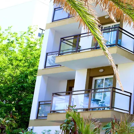 Guya Wave (adults Only) 3*
