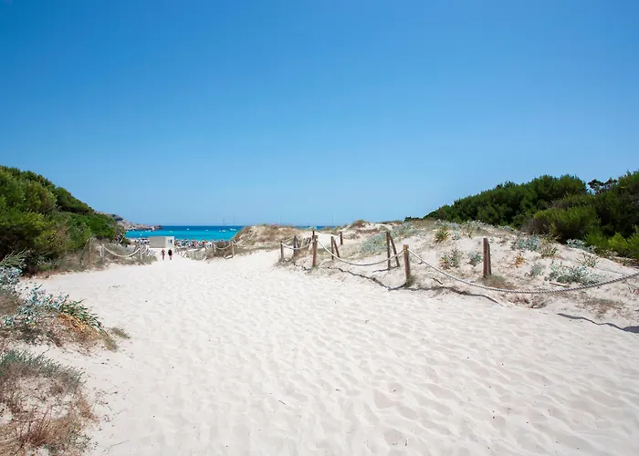 Guya Wave (adults Only) 3*